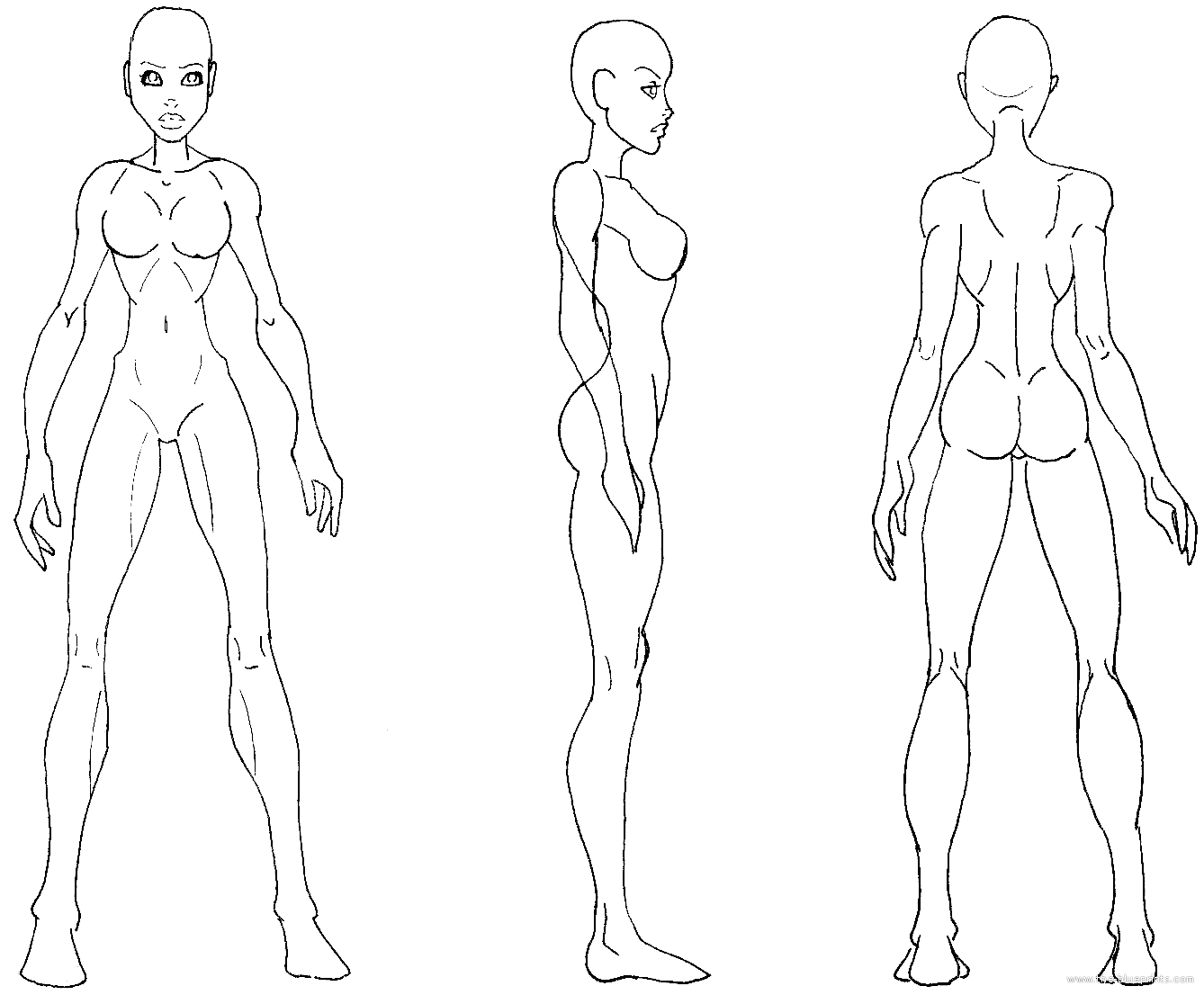 Профиль в полный рост. Человек в профиль референс в полный рост. Эскиз тела. Фигура человека для рисования. Фигура девушки рисунок.