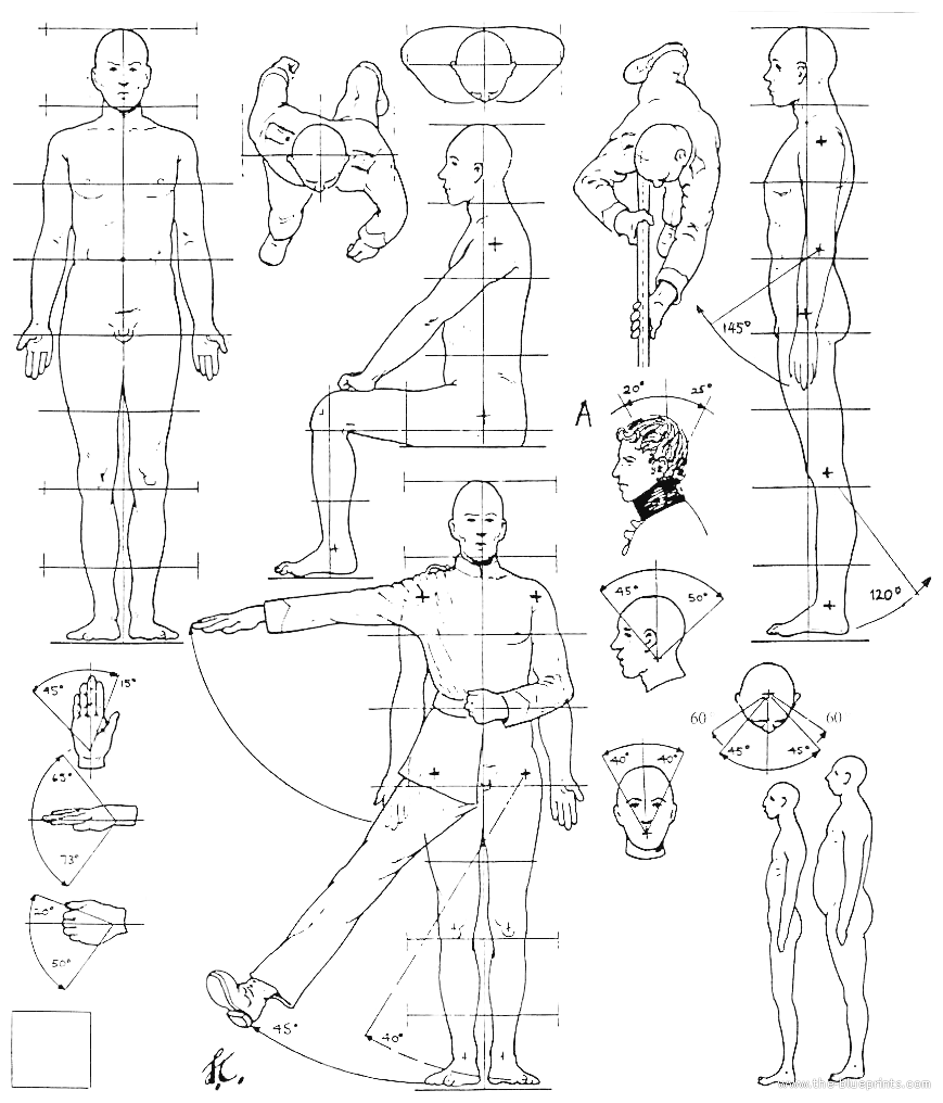 Уроки построение человека. Пропорция человека для рисования сбоку. Пропорции человека для рисования. Пропорции тела человека для рисования. Пропорции человека рисунок.